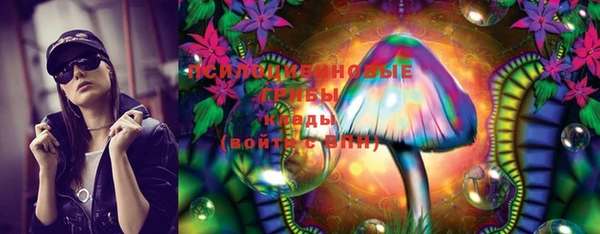 spice Фурманов